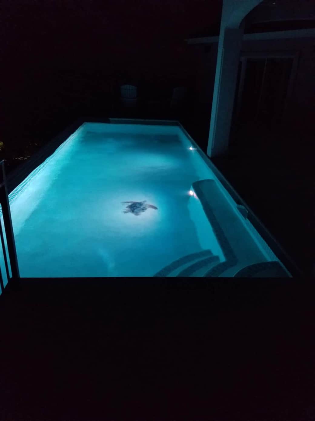 Pool is lit for nighttime use