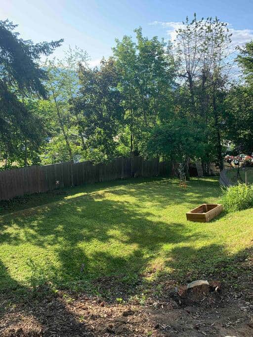 0eef1539 13b9 460a be0b 96109af75523