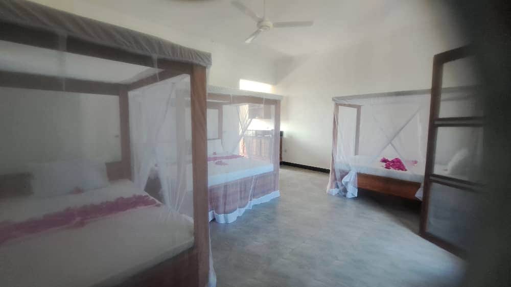 1000034614 1000034614