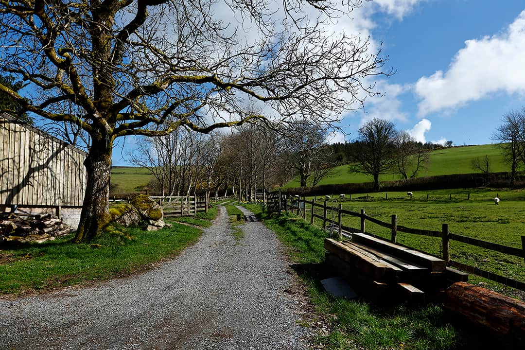 Driveway