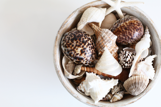 Robe, South Australia