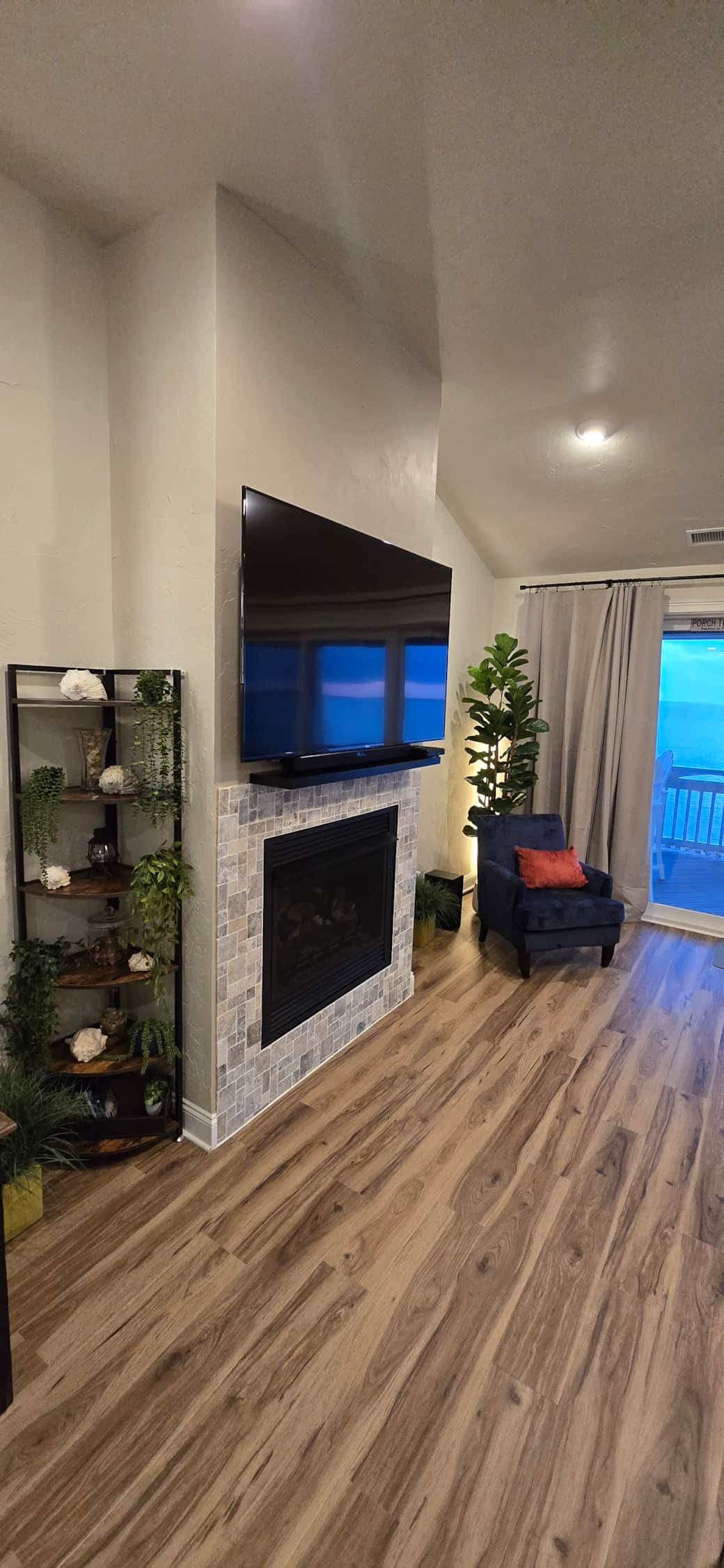 Fireplace and TV (2)