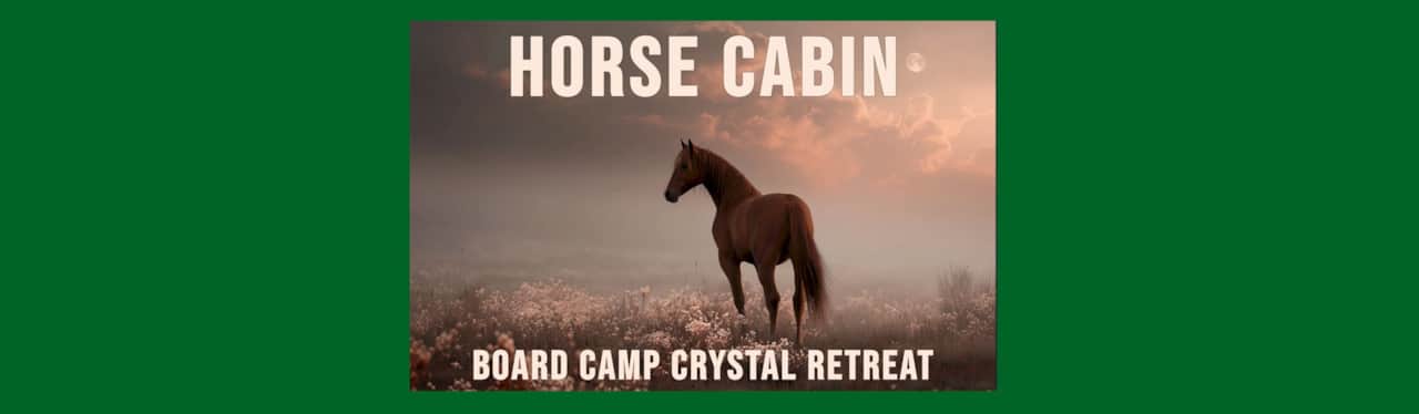Horse Cabin cover