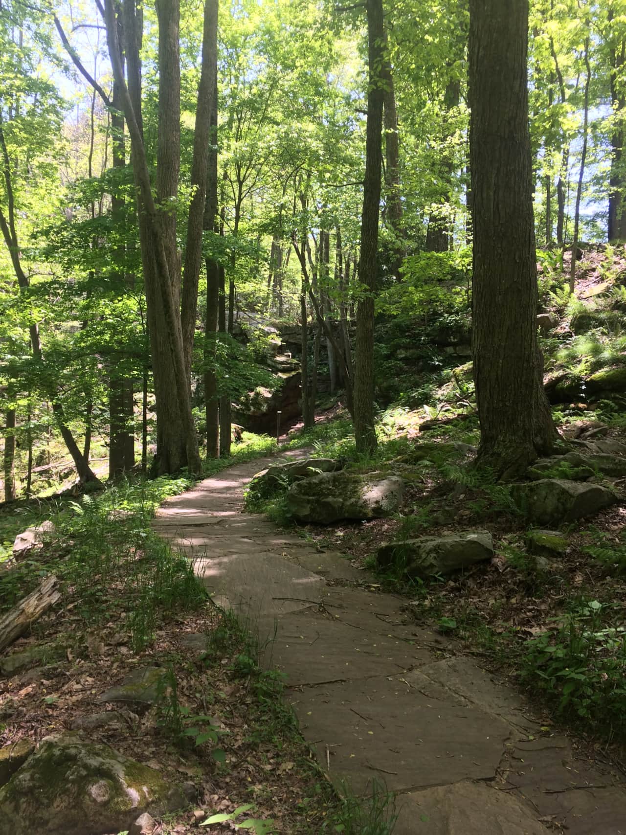Some easy stroll paths