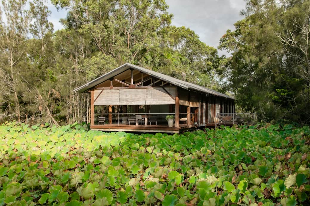The villa is perched over the lotus pond. The lotus are in full bloom Nov through to April