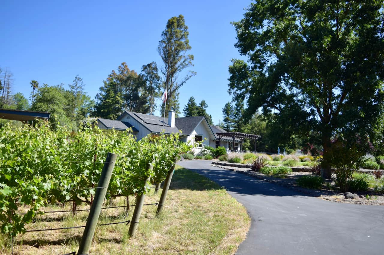 View to house from end of hobby vineyard.