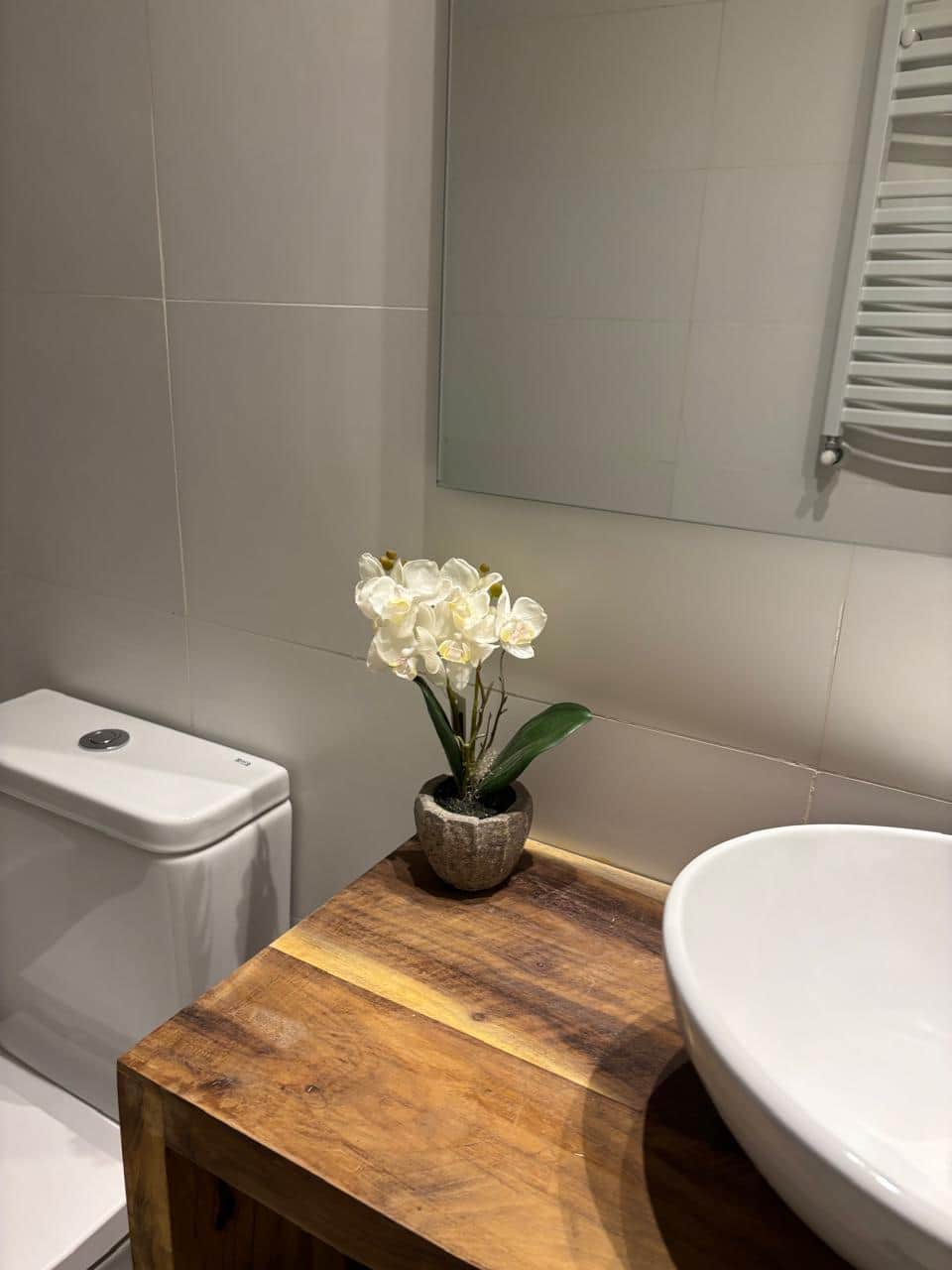 Baño planta baja