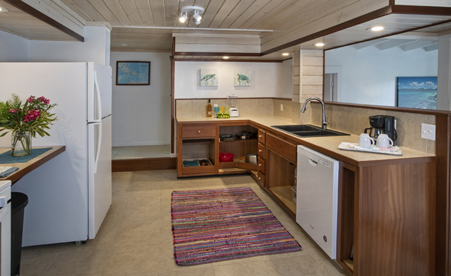 Lower Level Kitchen with Dishwasher