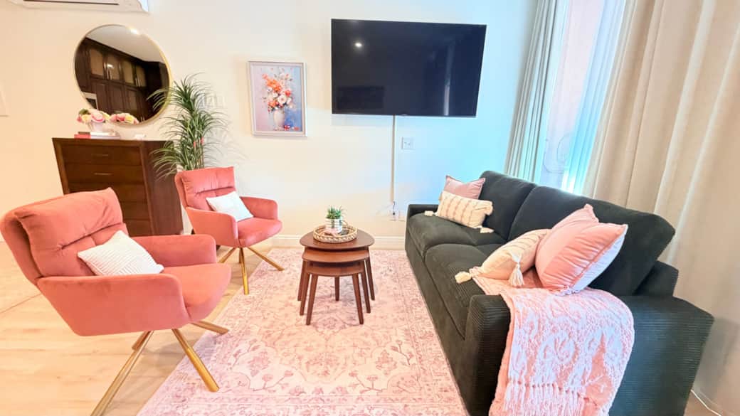 Living area with pull-out queen sofa bed