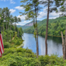 Rental image