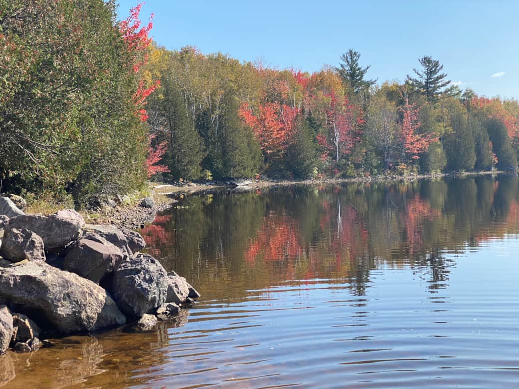 Fall ShoreLine