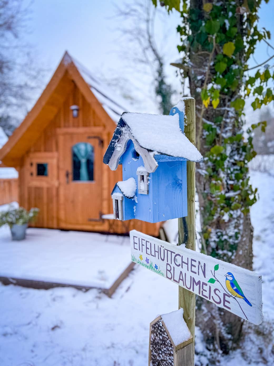 Eifelhüttchen 8 Eifelhüttchen 8