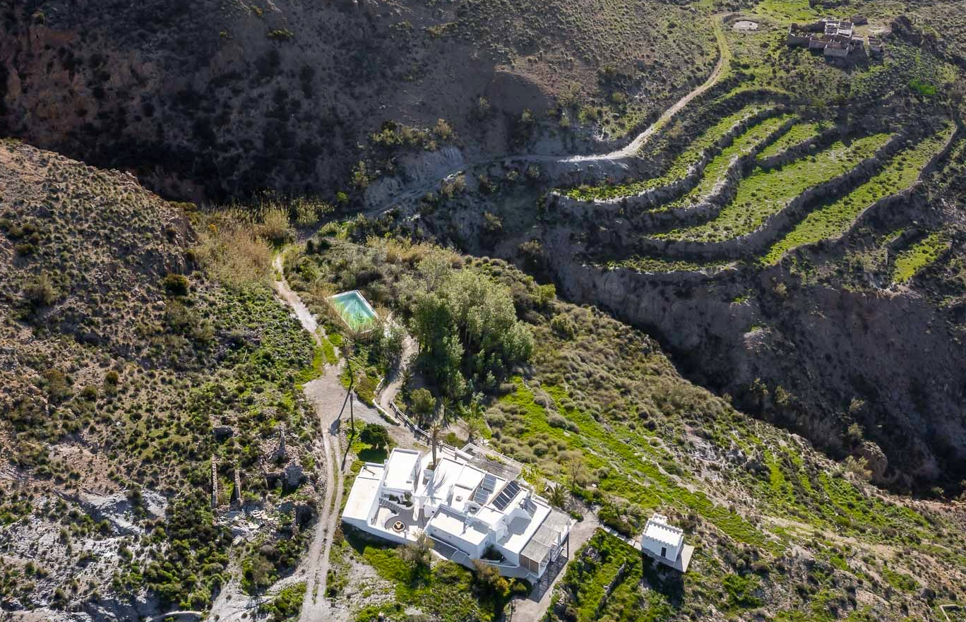 Image Title