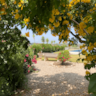 Rental image