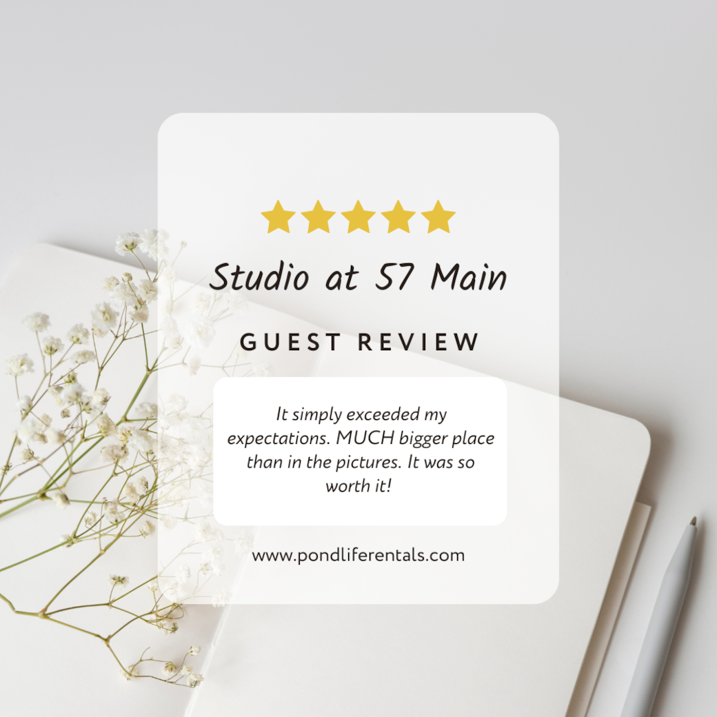 Guest Review 