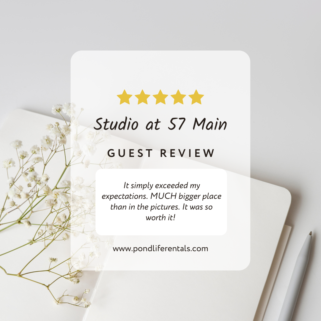 Guest Review 