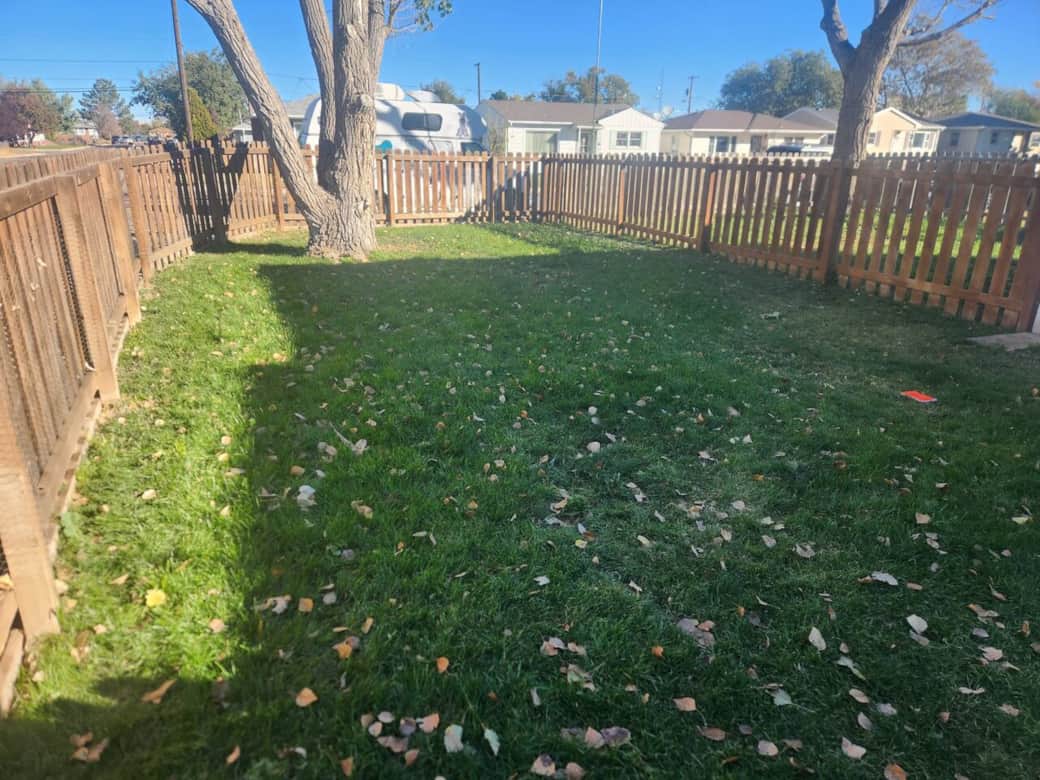 Yard Yard