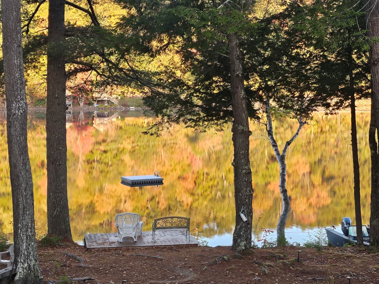 Fall morning view of the lake through the trees