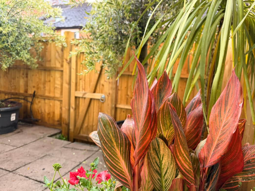Private Gated Garden