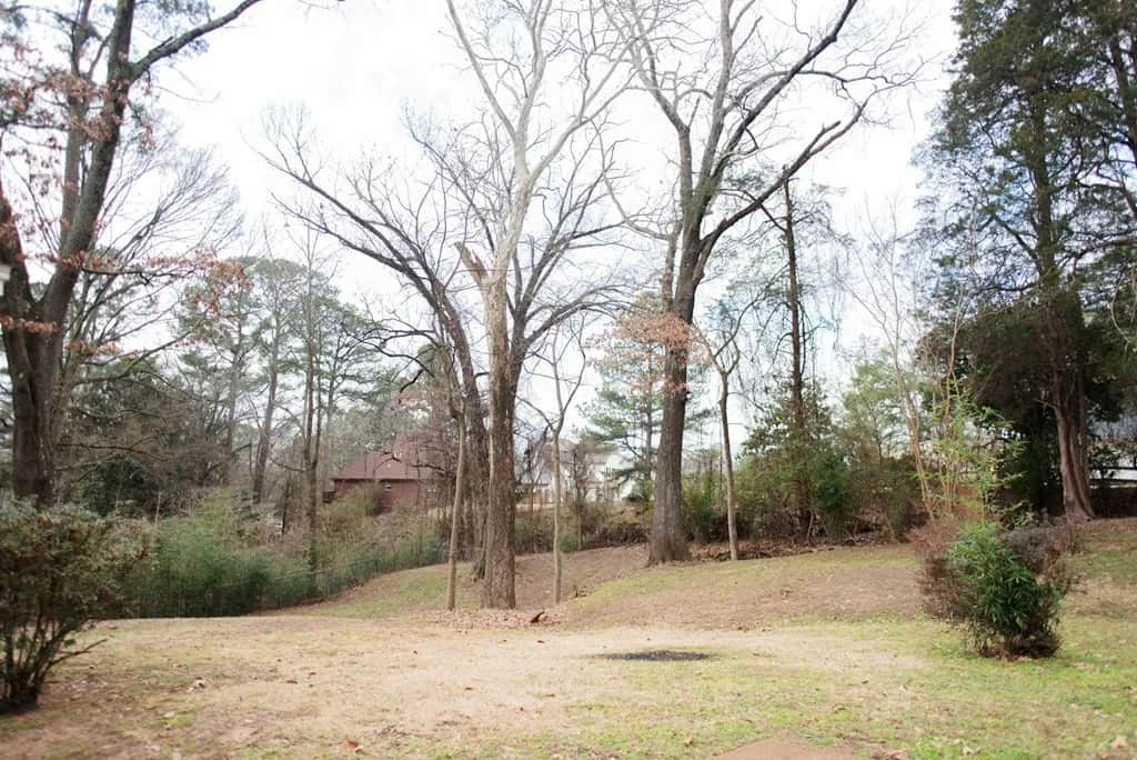 27f5725fd89c262453e1be0edec5486cl m1427648401rd w1280 h960