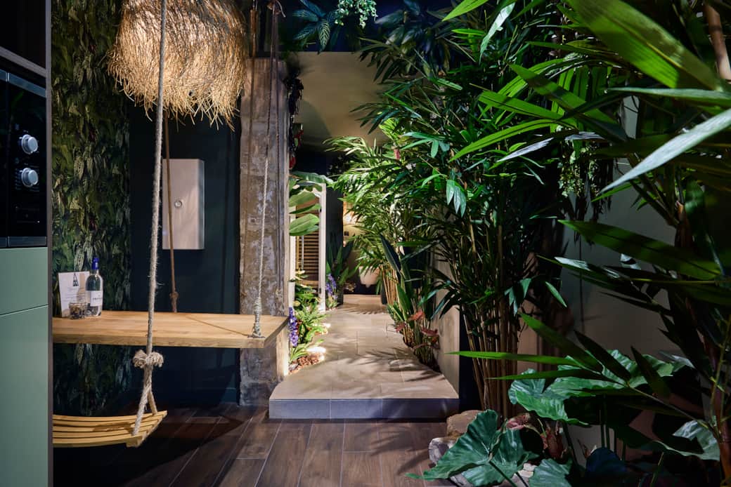 Ed atypiqueroom jungle 3 bd