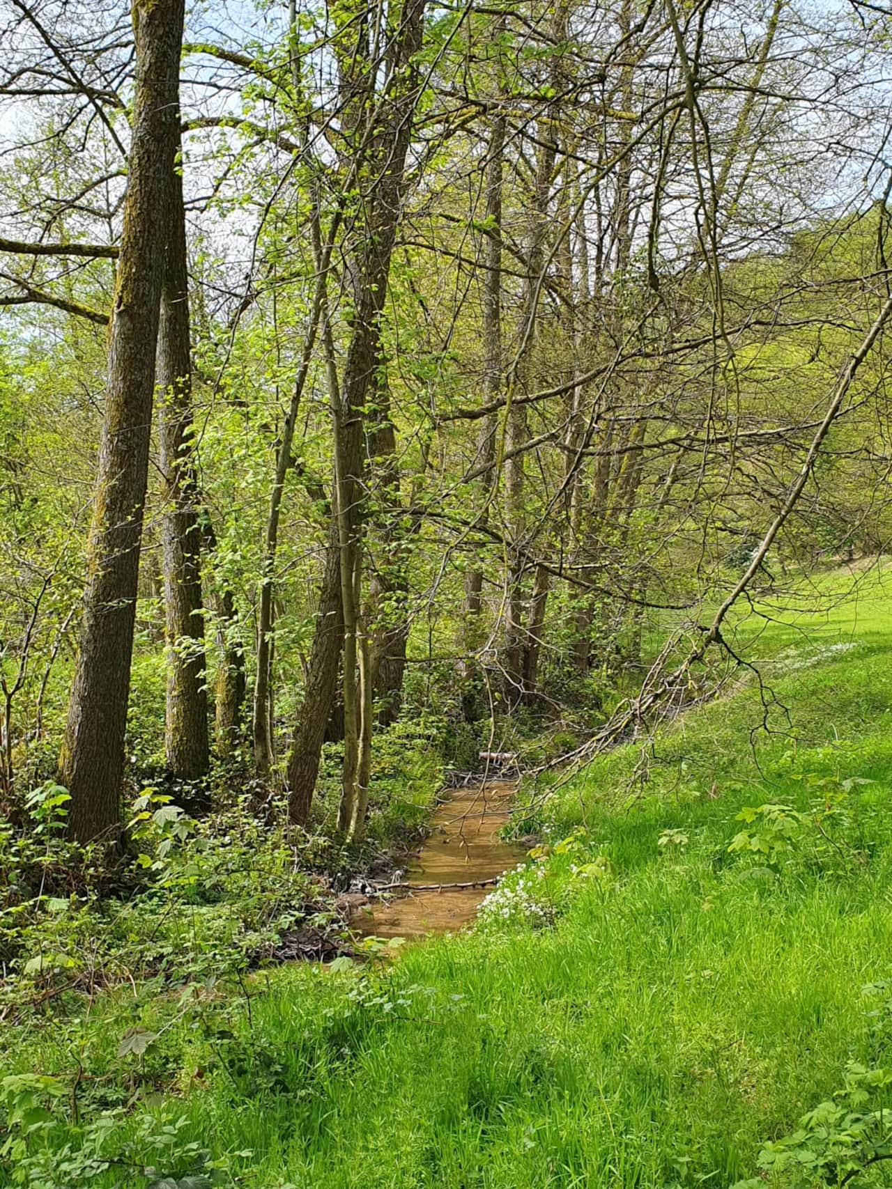 Rodensteiner Tal.jpg