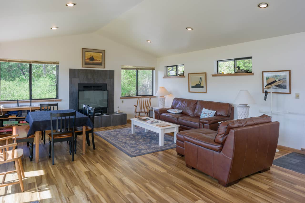Living and dining are one open room with lots of light.