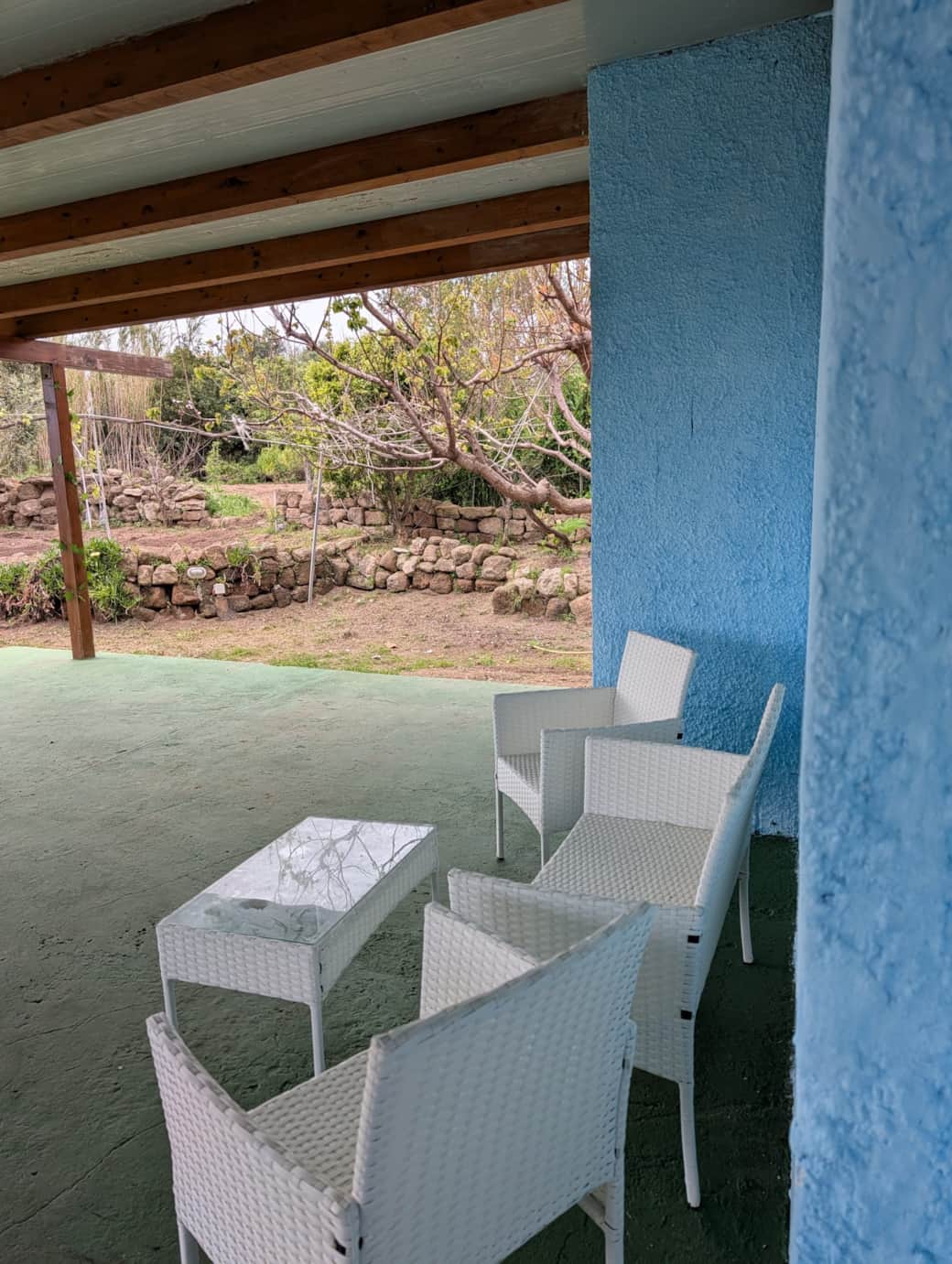 WhatsApp Image 2026-04-20 at 13.53