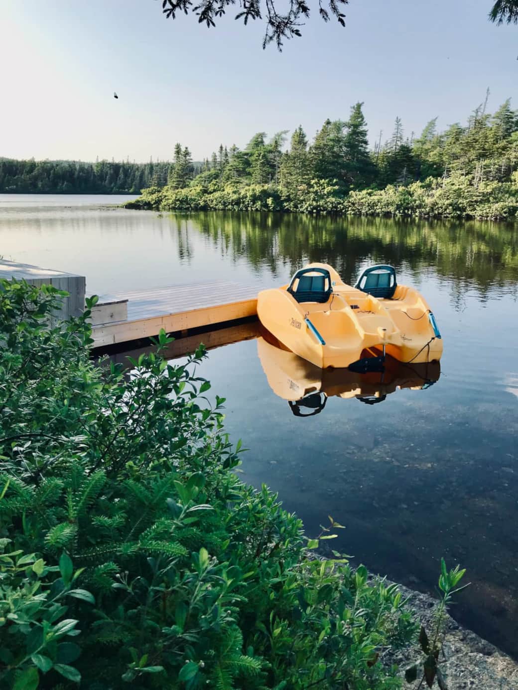 Paddle boat included for use in the pond