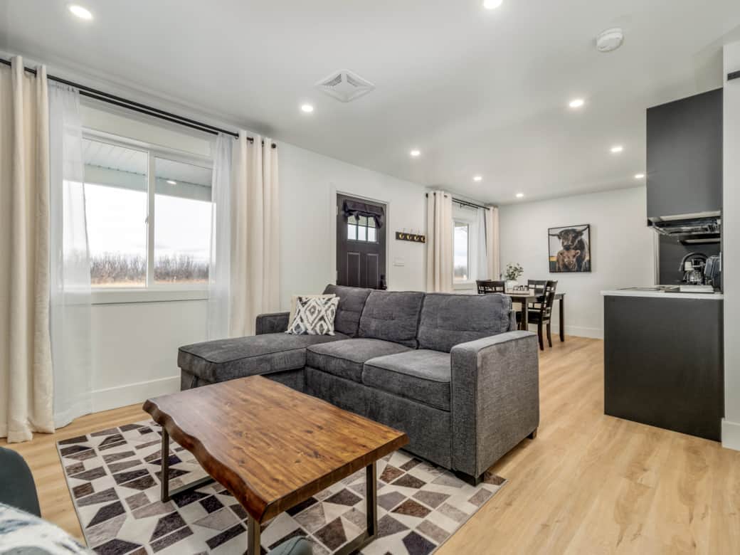 Pull-out sofa in living room