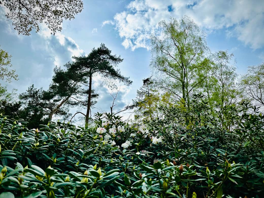 Gartenblick Gartenblick