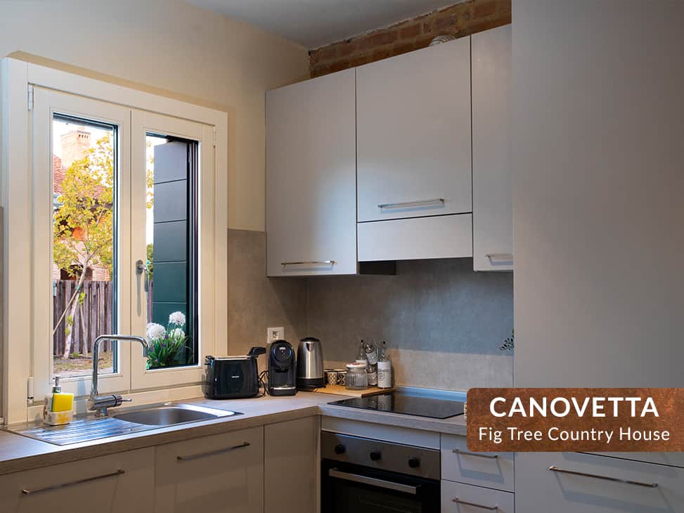 Canovetta fig tree contry house cremona 06 Canovetta fig tree contry house cremona 06