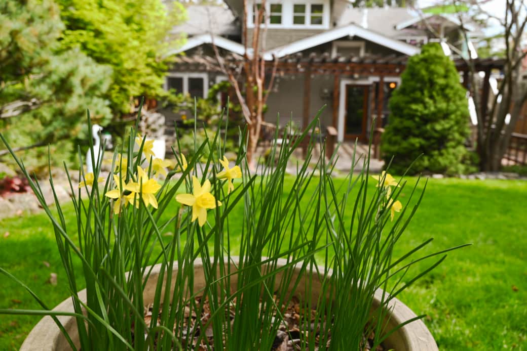Web_Ready - Grounds - DSC_6276