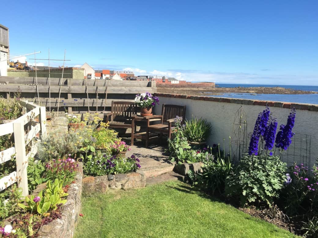Sunny garden seating