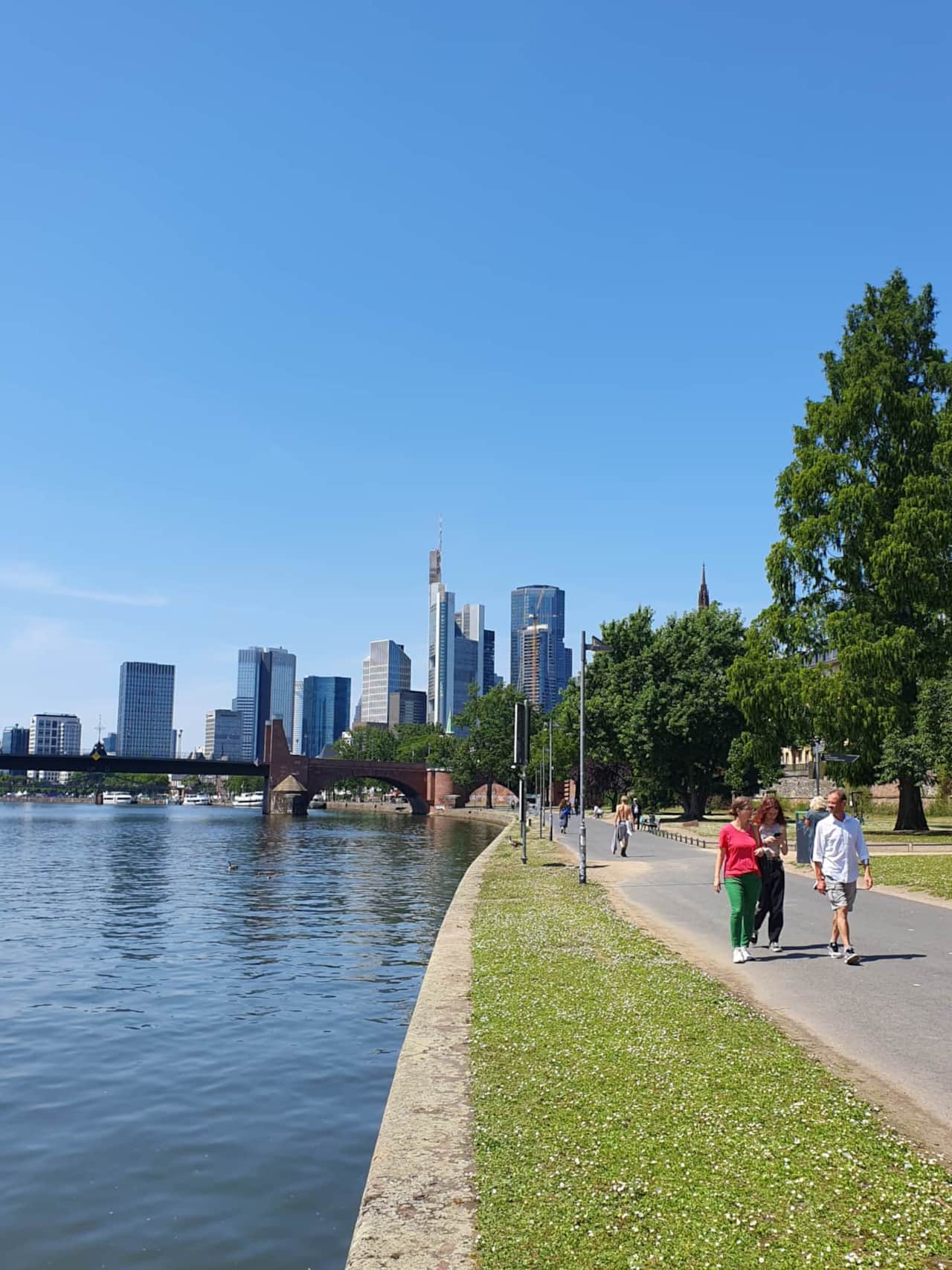 Eisener Steg Frankfurt am Main.jpg