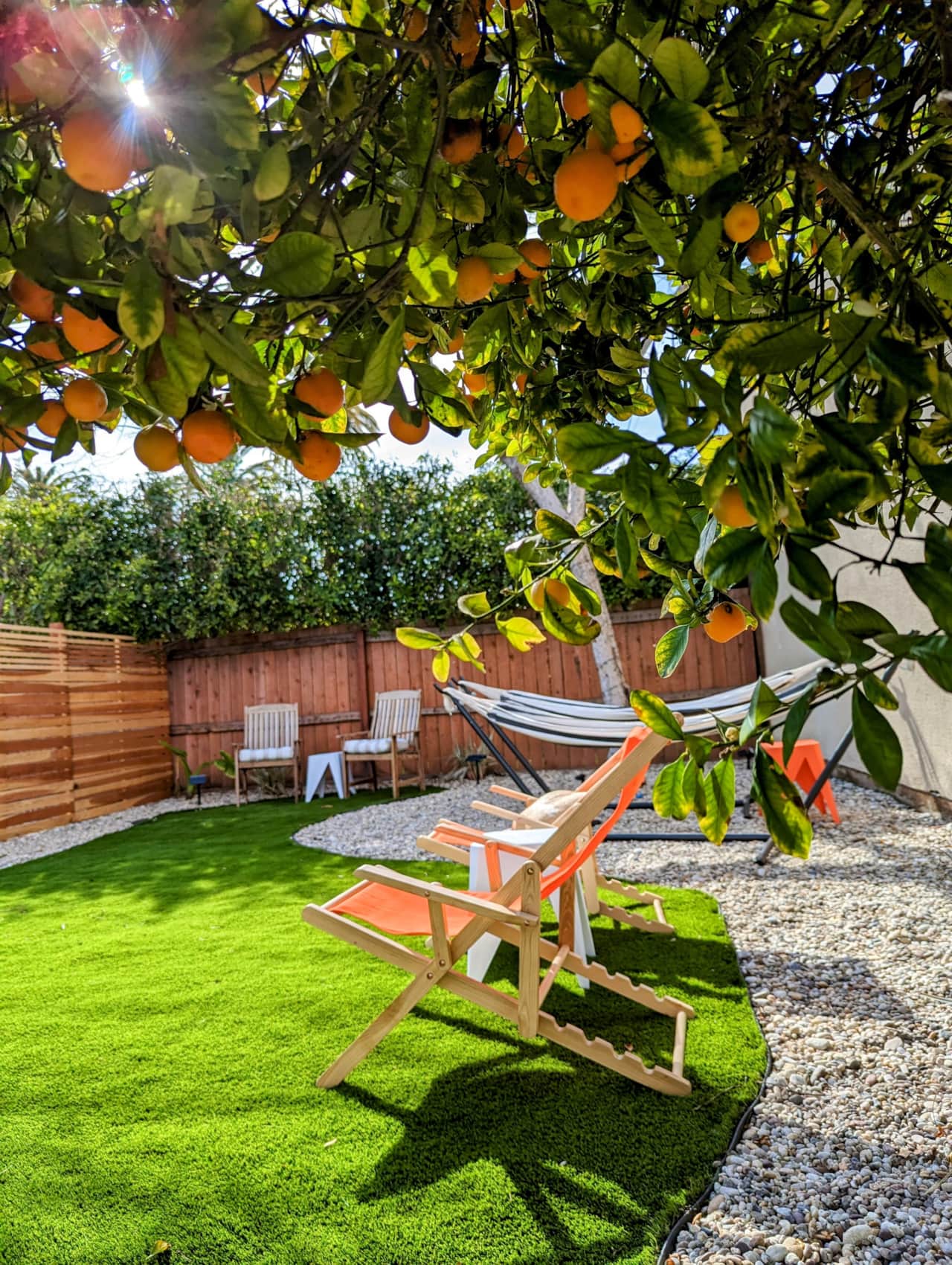 Backyard Day 1