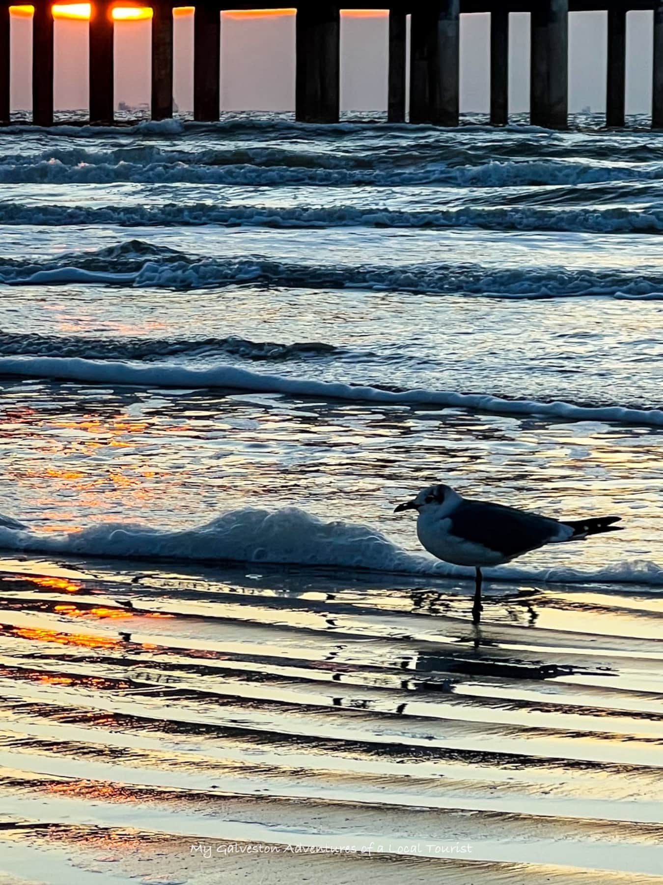 Seawall Beach in Galveston, Texas with walking path and nearby restaurants along the Gulf Coast
