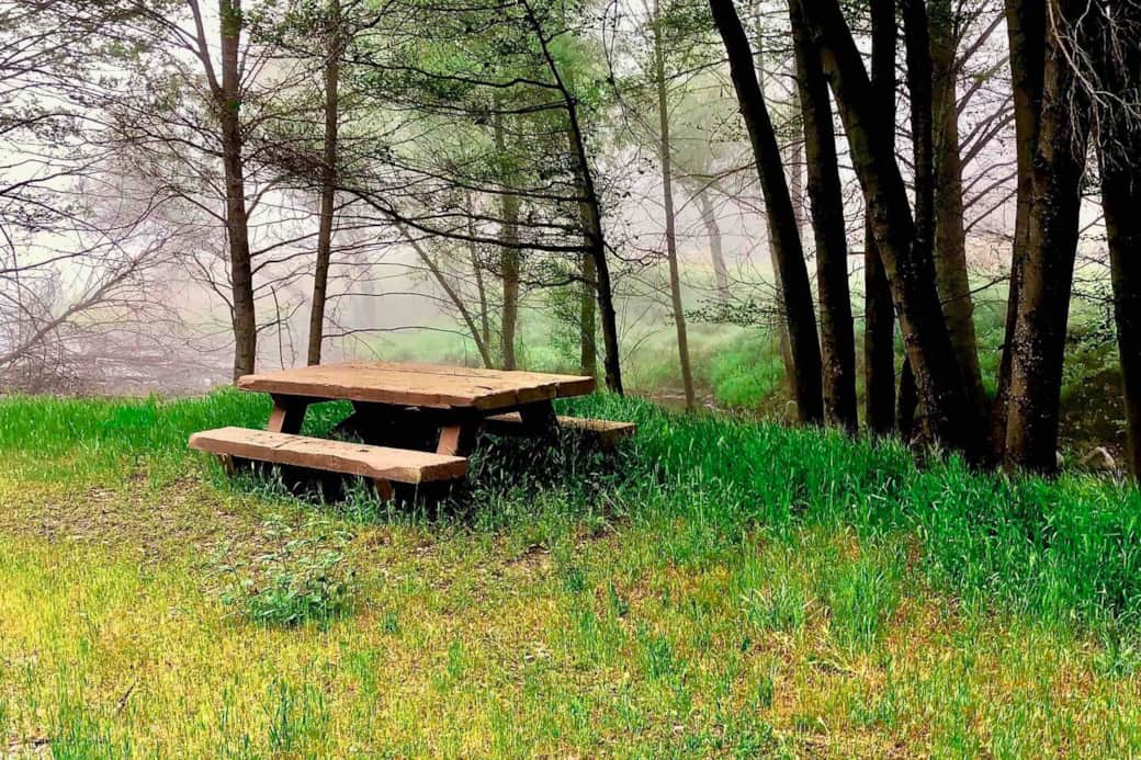 Find your own special spot at the ranch and have some lunch. We can prepare a nice picnic lunch with some notice too. Find your own special spot at the ranch and have some lunch. We can prepare a nice picnic lunch with some notice too.