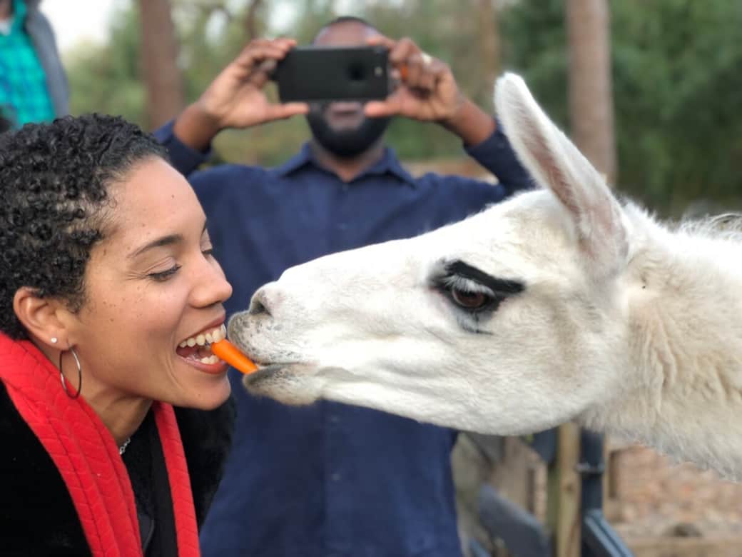 Corporate event at the Llama Cottage. Everyone got to kiss Dali. It’s a thing. 