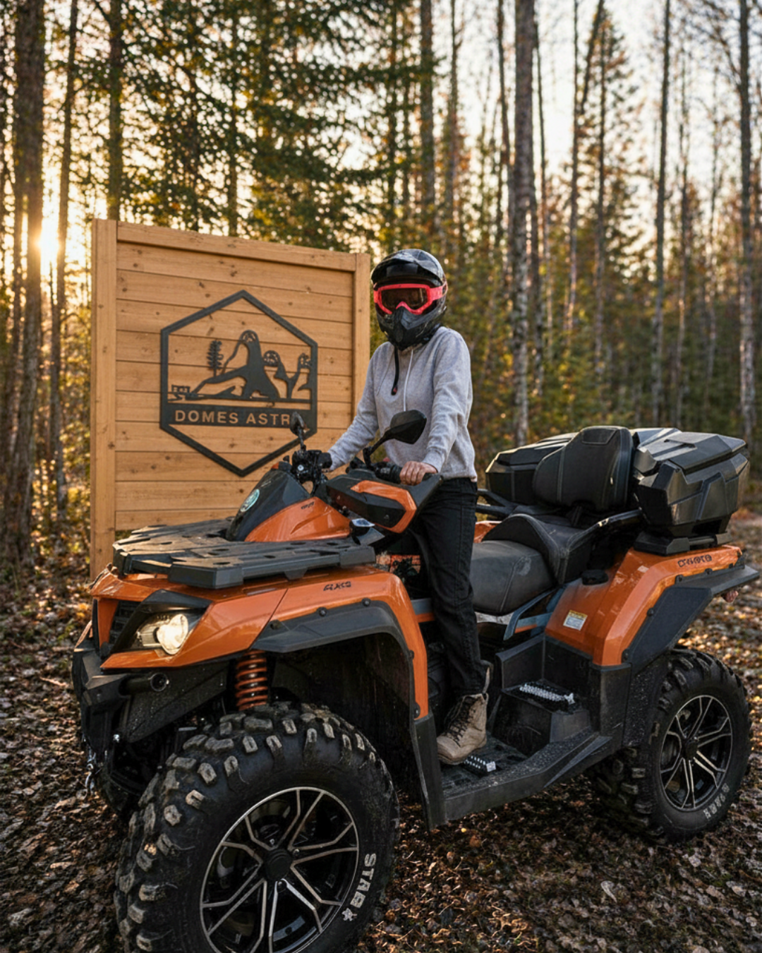 VTT