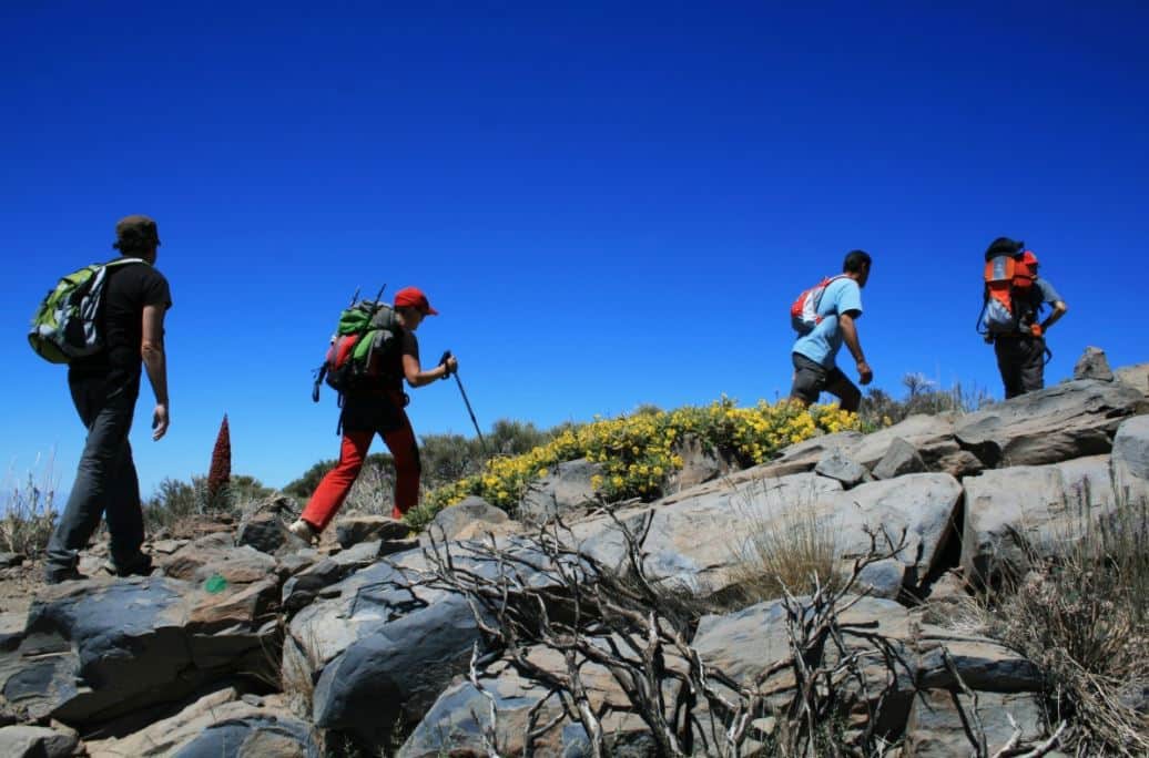 Hiking