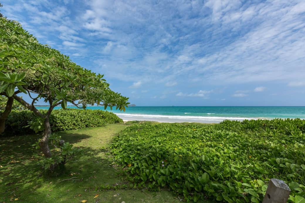 Beachfront Plantation Cottage- Path from the lawn to the shore