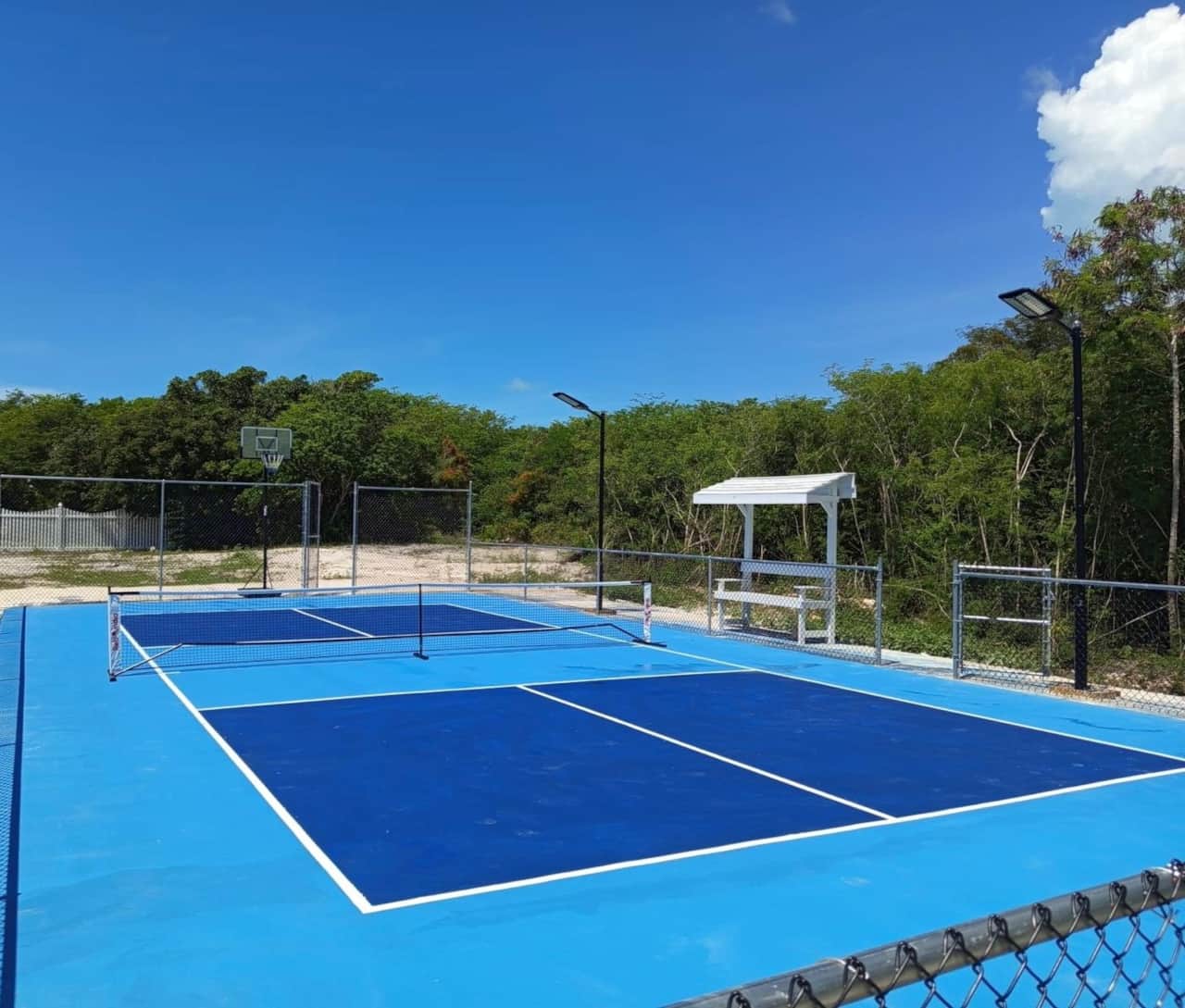 Pickleball Court