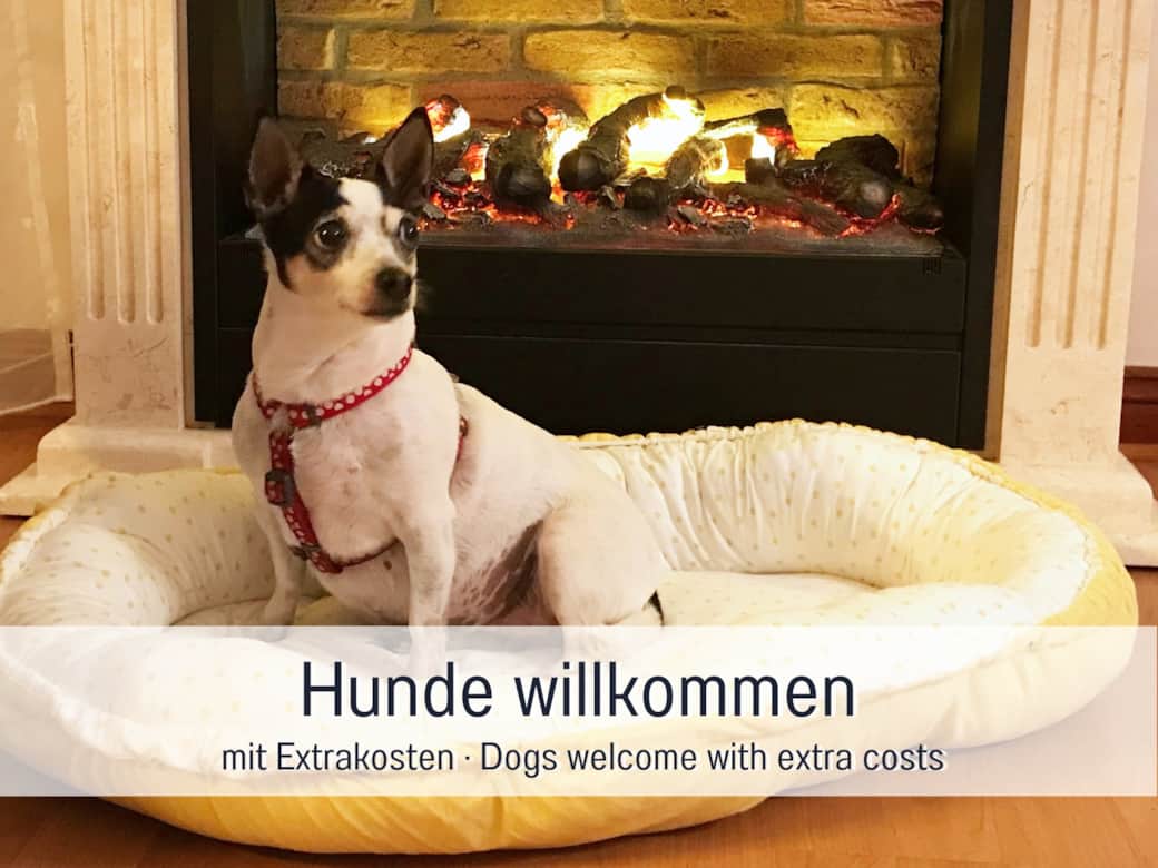 Hunde willkommen!