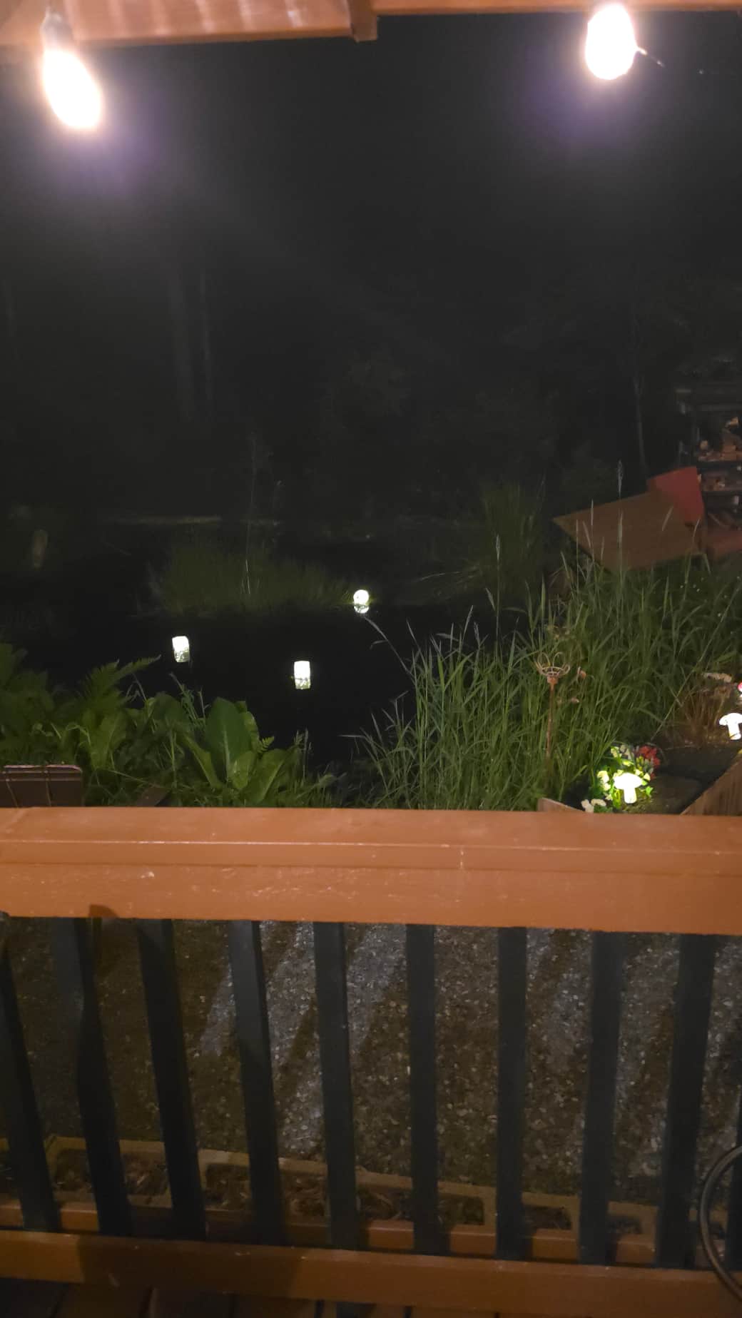 Night time looking out at the pond with the tea lights