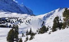 Skiing in the Grindelwald-Wengen ski area