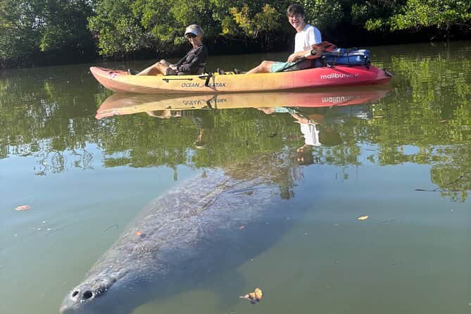 Lovers Key Beach features mangroves, dolphins, manatees and more