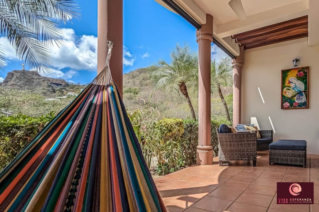 View from the hammock