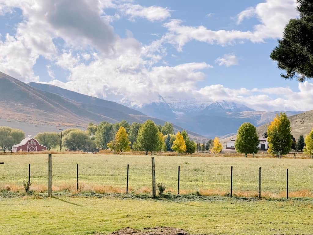 view of Mount Timpanogas