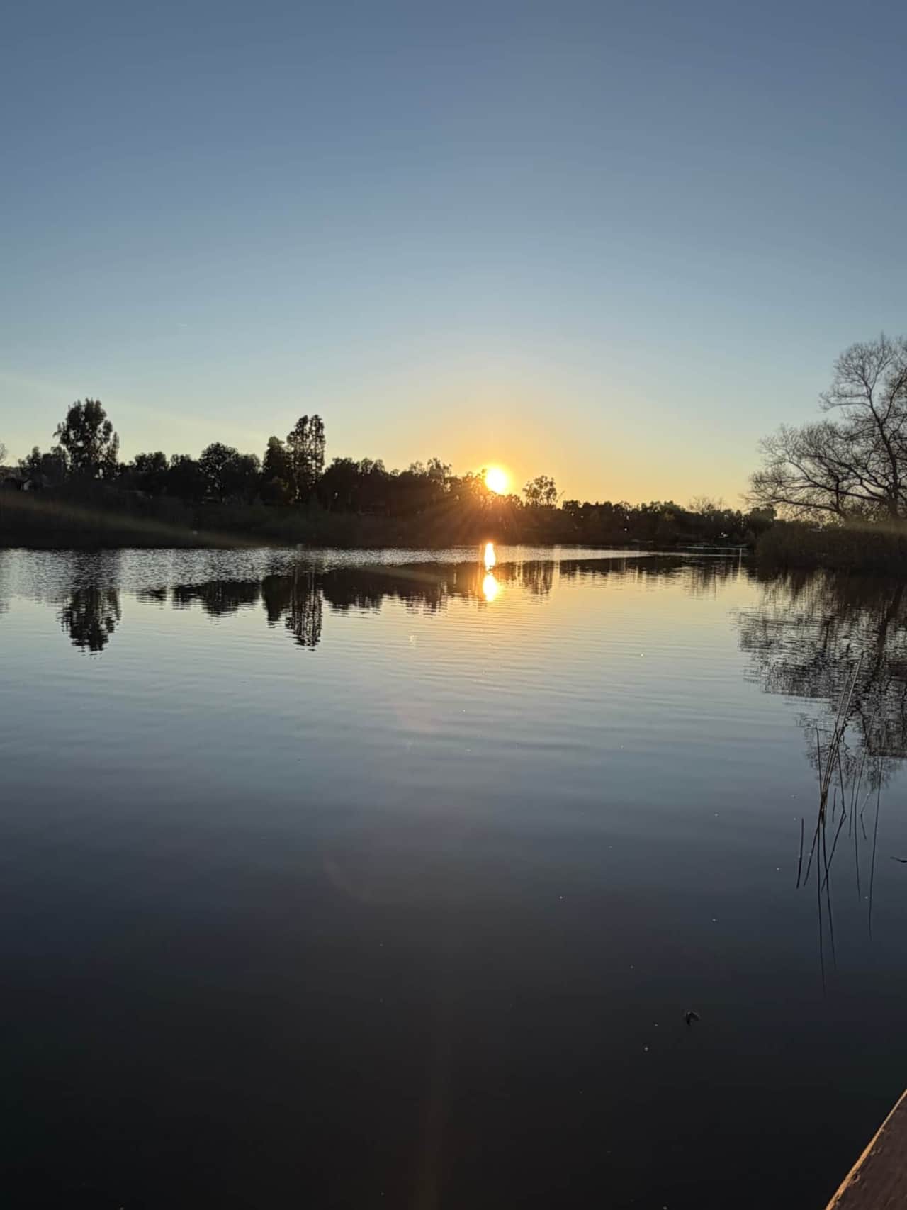 Lindo Park at Sunset